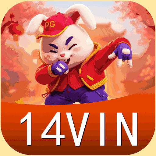 14VIN Cassino Online